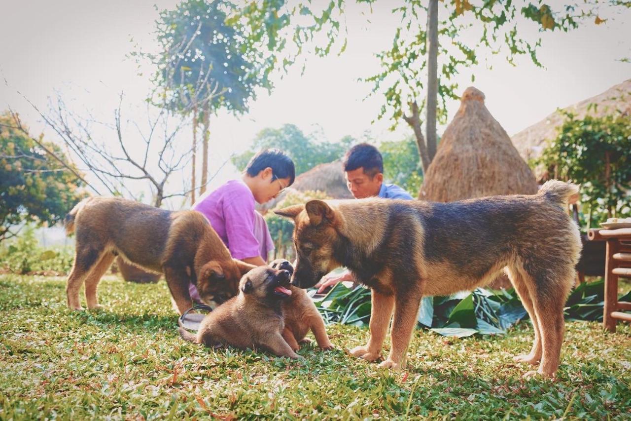 Mai Chau Valley Retreat Luaran gambar